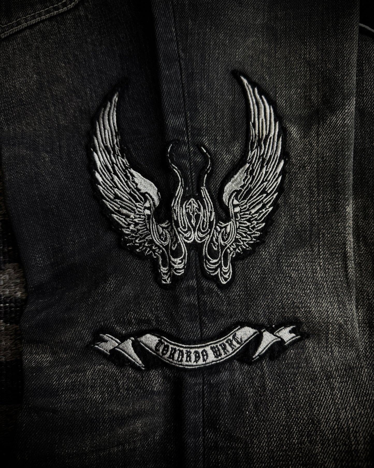 Tornado Mart Skull & Wing Embroidered Flared Denim
