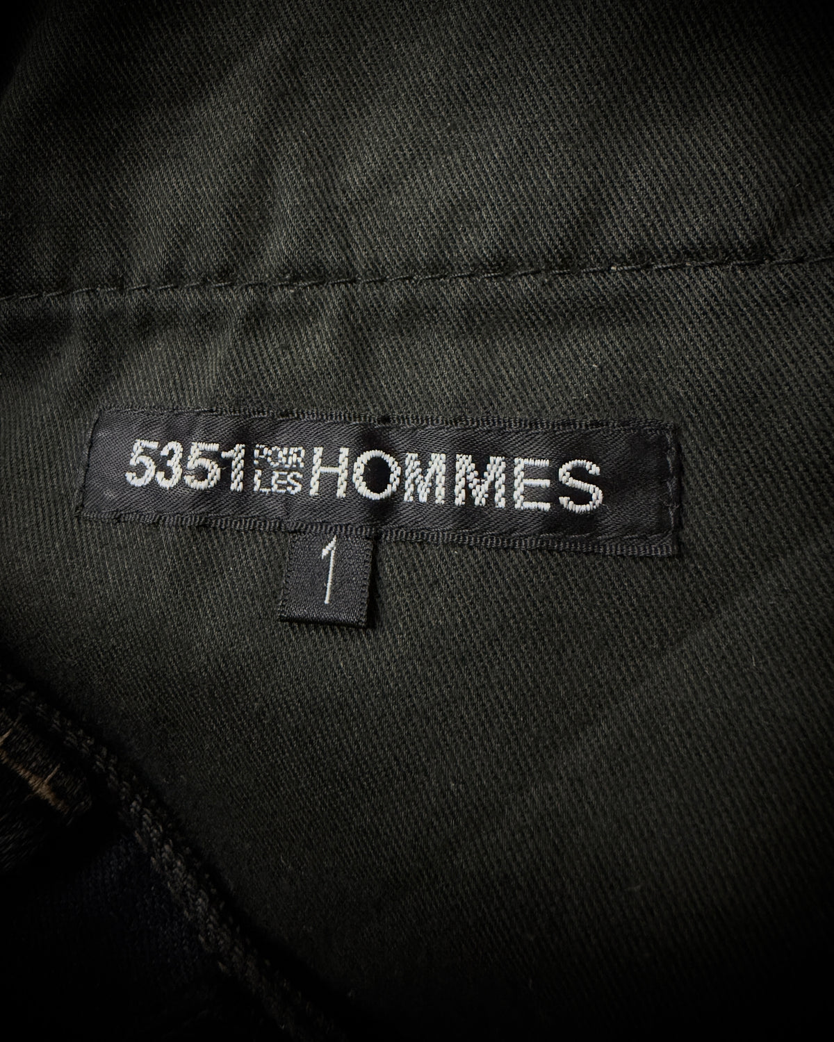 5351 Pour Les Hommes Whiskered Skinny Jeans